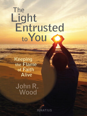cover image of The Light Entrusted to You